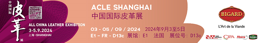5._Bannire_e-mail_ACLE_Shanghai_SEPT_2024.png